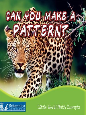 cover image of Can You Make a Pattern?